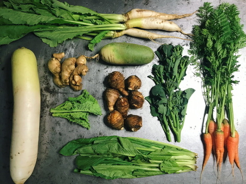🌈小さな畑の冬野菜🌈【2〜3人分】