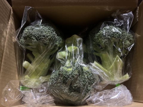【ブロッコリー】　群馬県東吾妻町産　3個