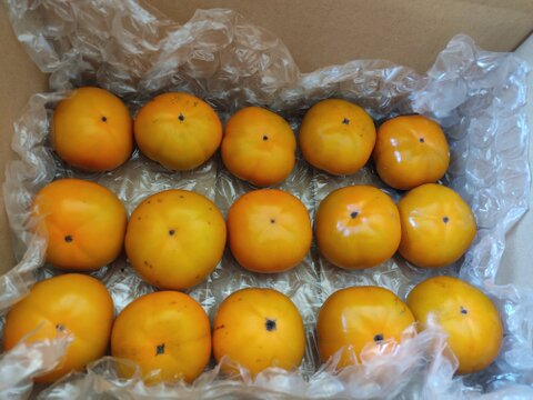 ✨【甘柿（富有柿）】2.8kg（23～30玉）　農薬肥料不使用の自然栽培✨