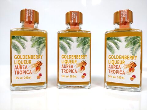 【冬ギフト】新商品✨陽光の輝き　自然派リキュール🍹ゴールデンベリーリキュール「AUREA TROPICA」200ml×３本入りギフト🎁