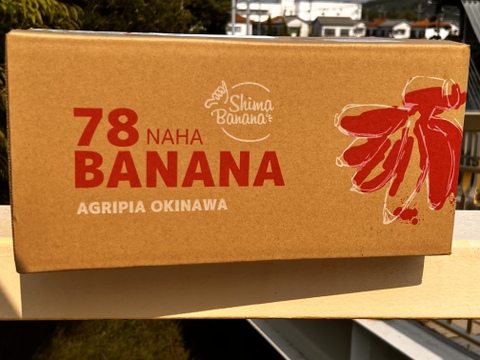 モチモチ食感！赤バナナ【2kg】