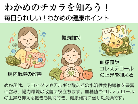 産地厳選！【産地直送】えんぞうわかめ100ｇ3パック　 伊勢志摩産　鳥羽市の離島・菅島沿岸で収穫！　人気のおみやげ