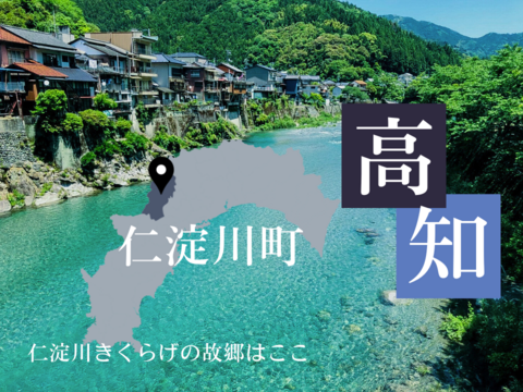 【仁淀川きくらげの魅力を伝える大袋】高知県産仁淀川きくらげ(ホールタイプ100g×3Pセット) ※戻し方、参考料理の冊子付き Niyodogawa Kikurage