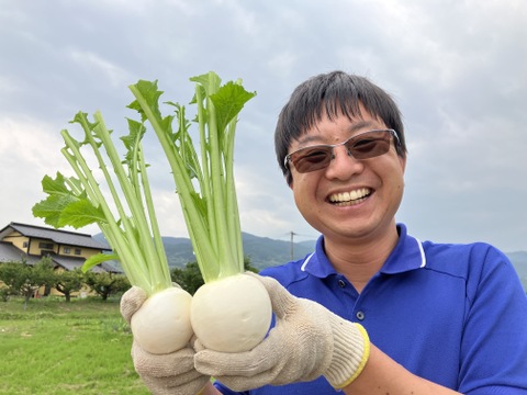 【信州産】季節の有機野菜（４品目）とピクルス（２瓶）のセット