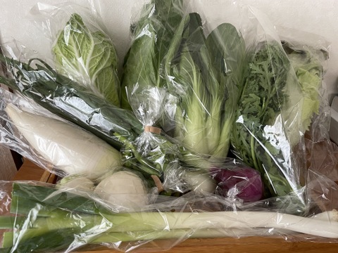 【アースデー企画】旬の訳あり野菜セット※おススメレシピ付き‼