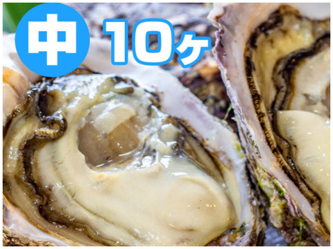 徳島県産 天然 岩牡蠣
【中  １０ヶ入】