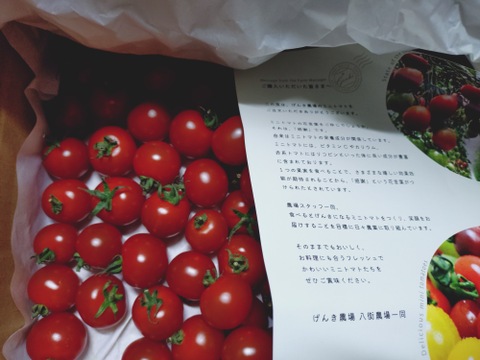 げんき赤ミニトマト(800g)