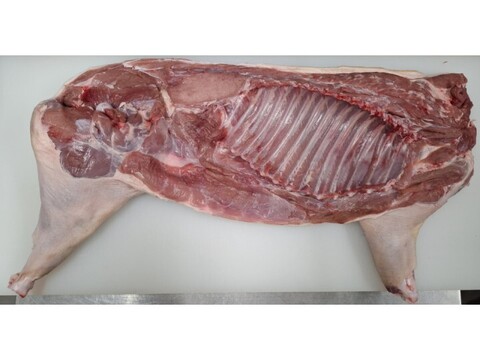 仔イノシシ【皮付き・骨付き】【丸焼き用　半身】3600g