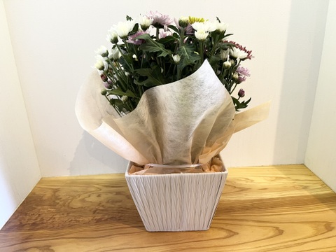 白菊とカラーマムのお供えアレンジメント