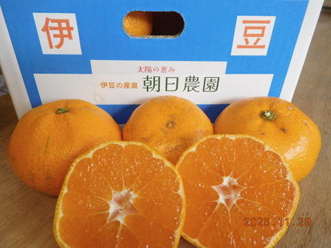 😊〈規格外〉price　伊豆産 今が旬！早生温州みかん   　　　 風袋込み約5.0㎏