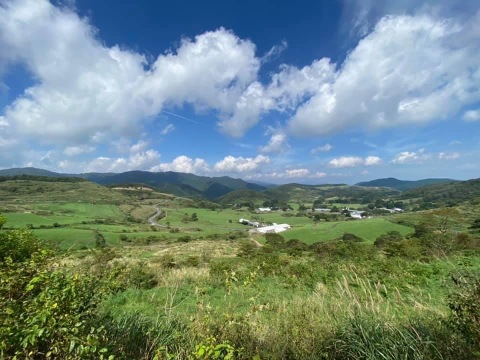 今が旬❗️甘〜い‼️大野ヶ原高原キャベツ🥬Sサイズx2p