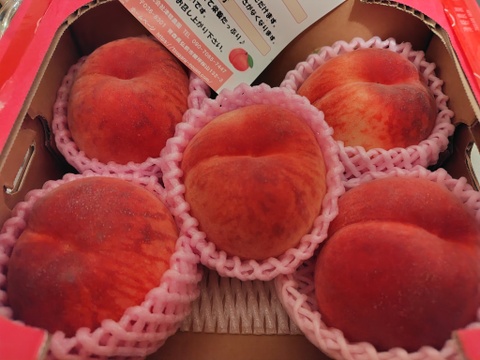 🍑あま～い桃　あかつき　約1.5kg　5玉前後【ASIAGAP認証農場：津軽農園】8月上旬　採れたて農家直送　夏ギフト　お中元【朝どれ】