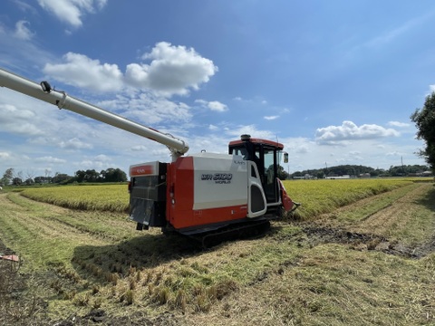 【令和６年度 新米】ふっくら食感と甘さが自慢！茨城県産こしひかり10kg【白米】