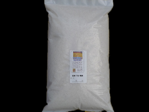 令和4年産　農薬不使用　佐渡コシヒカリ（在来種）　玄米　5キロ