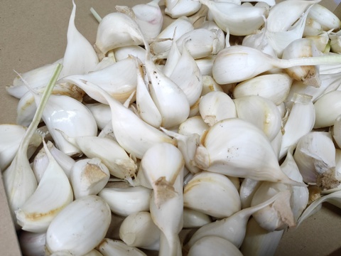 ポストへお届け♪にんにくバラ　600ｇ★にんにく約8-10個分　クリックポスト発送