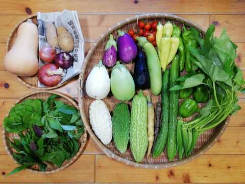 【農薬化学肥料不使用】バターナッツカボチャ入り野菜セット【８種類以上の野菜】【あわせ買い可】【熨斗(のし)対応可】【８０サイズ箱】