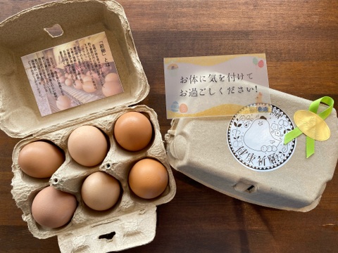 【健康祈願】福地鶏の栄養満点「初卵」