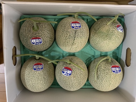 【夏ギフト】☆訳あり赤肉メロン☆ 5〜6玉入【北海道産】8月上旬発送