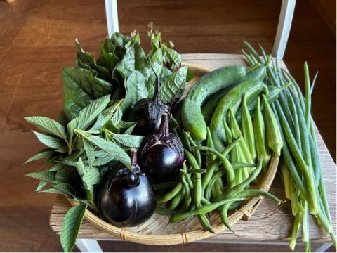 奥出雲産自然栽培野菜セット