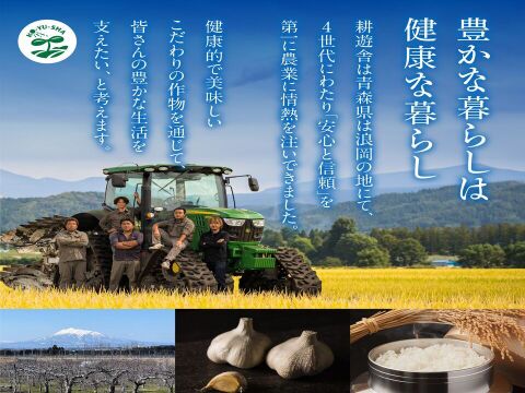 衝撃の甘さ！！黒にんにく「くろすけ」120ｇ入りzip袋×6袋