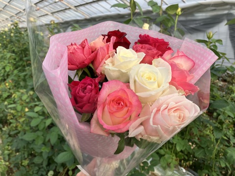 想いを伝える バラの花束（ピンク）【母の日ギフト】