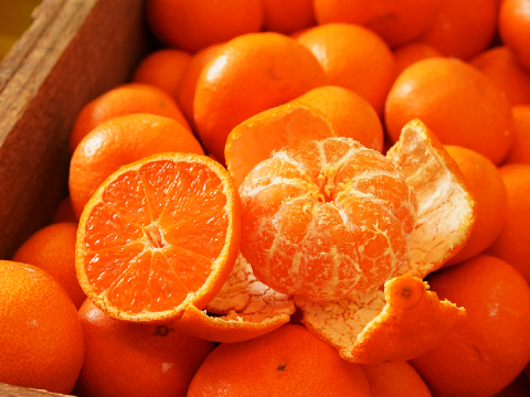 蔵出しみかん中生5kg｜和歌山県海南市下津町の特産品、蔵出しみかんの希少な中生品種