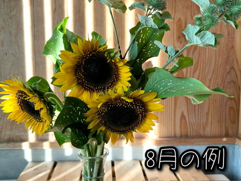 奥出雲産自然草ブーケ