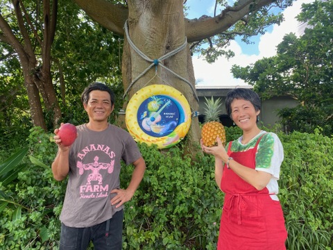 １度は食べてもらいたいセール！沖縄パイナップルの王様ゴールドバレル３ｋｇ（2～4玉）