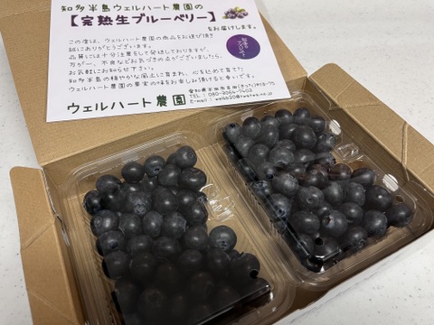 早い者勝ち！【完熟生ブルーベリー】(250g×2パック)×２箱