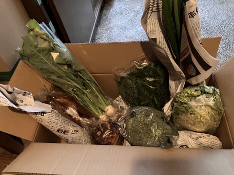 月〜木曜日限定で翌日までに発送!!お楽しみ★農園自慢の情熱野菜セット　9袋　　フードロス対策　パチャママ農園　訳あり　規格外