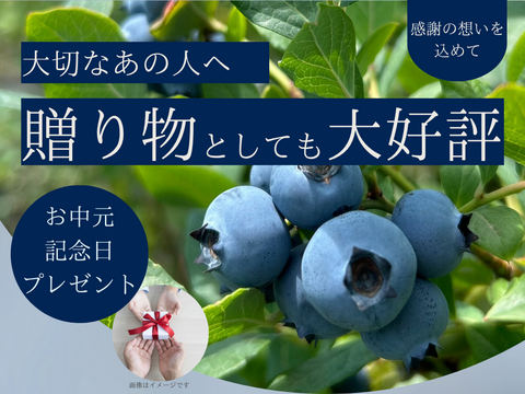 【極上】完熟 生ブルーベリー！ 甘くてジューシーな 500g