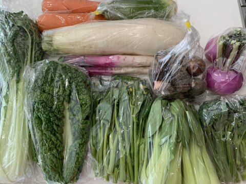 【食べチョクアワード2025受賞】
カラダが喜ぶ!!旬のお野菜セット9~10種類【おまかせ80】