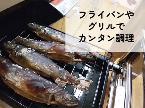 ふっくら香ばしい！塩焼き用 イワナ 5尾 養殖 焼き魚サイズ（110g前後/尾）調理レシピ付き