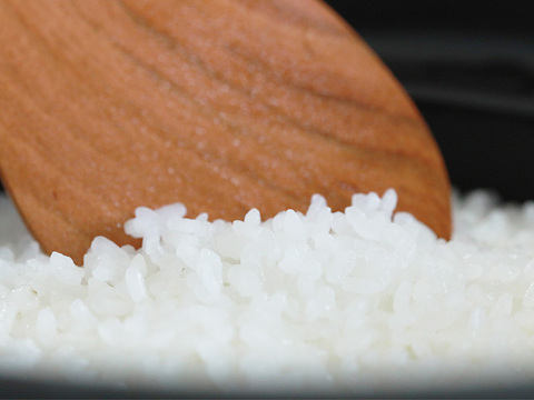 新潟県産米粉のミルクパンケーキミックス200g