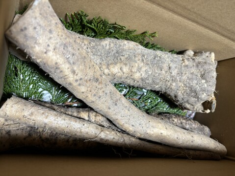 【産地箱詰め】形は不揃い、粘りは１級品。自然薯カット１㎏箱