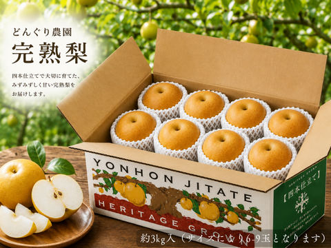 【静岡県産】志太梨（贈答用3kg）