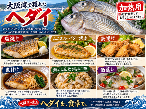 知る人ぞ知る大阪湾の白身魚！ヘダイフィレ【加熱用】：大阪府産の鯛