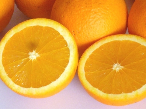 【柑橘食べ比べセット】約10㎏ 柑橘3種以上の詰め合わせ