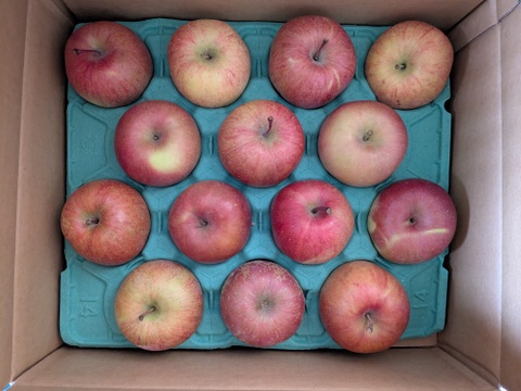 加工用サンふじ5キロ