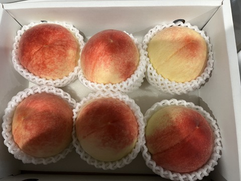 あらかわの桃 【訳あり】 お得 『旬おまかせ』（大玉サイズ 5〜6玉