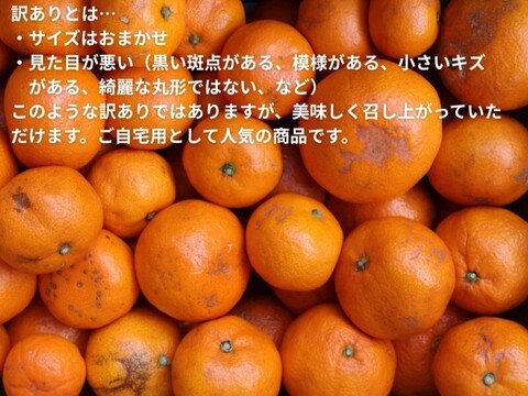 【冬ギフト】農家直送！有田みかん2kg≪訳あり（サイズ混合）≫【平武農園】～蛍飛ぶ町から旬の便り～　和歌山｜有田｜田口｜ギフト｜こだわり　産地直送　お取り寄せ