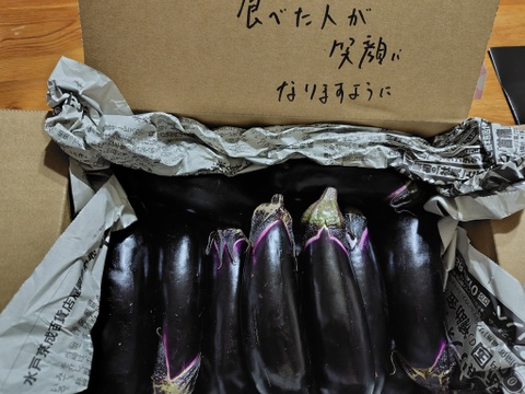 常温便【煮て焼いて、揚げて良し！】今が旬！中長ナス　2kg