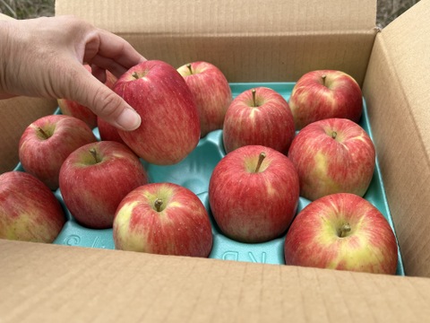 【予約販売・数量限定】長野県産りんご３㎏（スリムレッド）（１１月発送）甘酸適和・小玉