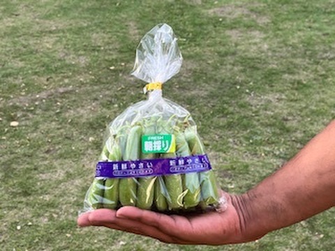今が旬のグリンピース