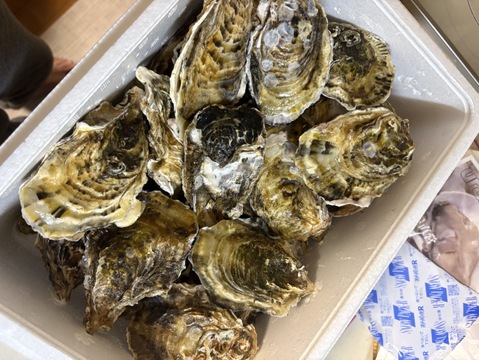 【BBQに牡蠣！】【生牡蠣】【生食用】三重県産 殻付き 浦村かき M～Lサイズ 30個入り（約3.3kg前後）（3～6人前）貝類 バーベキュー お歳暮 【母の日ギフト】【生で食べれる美味い牡蠣】
