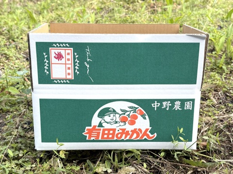 弾ける果汁！ 濃厚！ 有田みかん 3kg 和歌山産