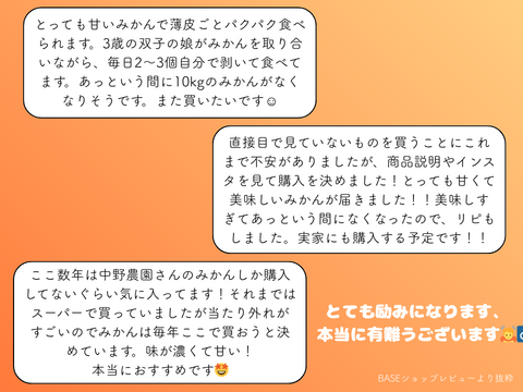 弾ける果汁！濃厚！有田みかん 10kg 和歌山産