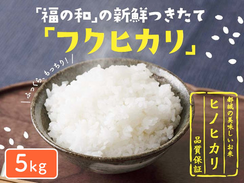 【味に自信あり：白米】旨味たっぷり！都城盆地米ヒノヒカリ　5kg