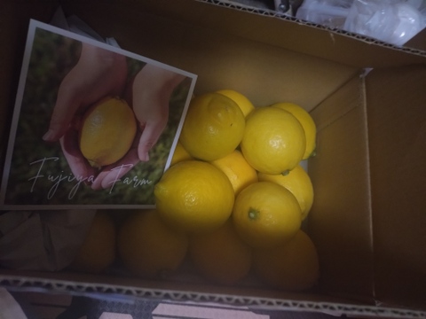 【有機JAS認証】オーガニックレモン2キロ（15個〜18個前後）極上の香りに癒されませんか？「今年もいよいよ始まります！！！」