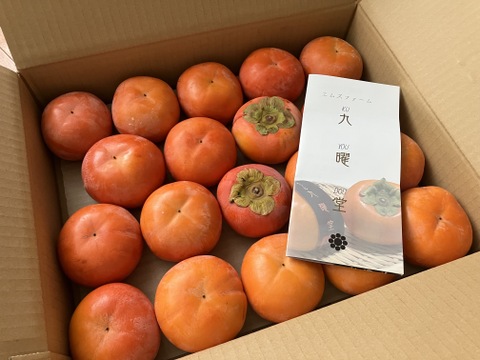 【満天☆青空レストラン出演！】石和の富有柿（種なし・ご家庭用・4Kg）